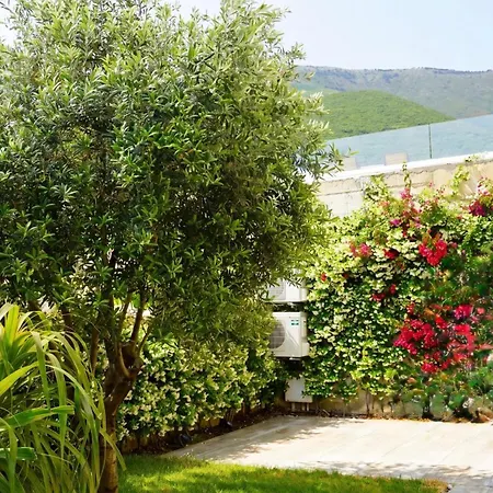 Appartamento Amar Coast